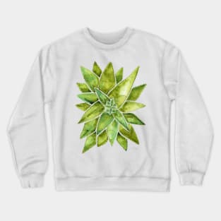 Green Aloe Vera Crewneck Sweatshirt